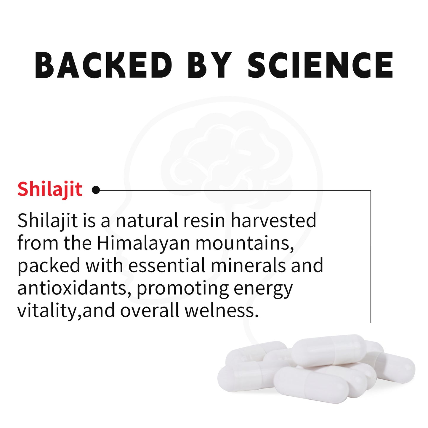 Xilaizhi Capsules 750mg  60 Capsules